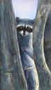 masked-bandit