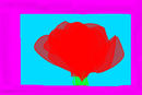 la-rose