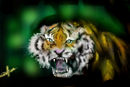 siberian-tiger