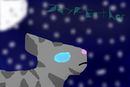 jayfeather