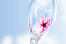 quick-glass