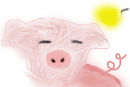 sunbathing-pig