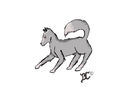 wolf