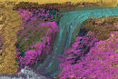 cascade