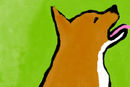 shes-a-foxy-lady-xd