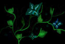 vines