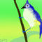 blue-bird by cuchifrito1216
