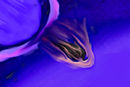 outerspace