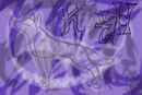 basic-cartoon-canine-s