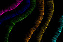 spiraling