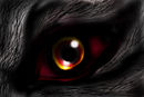 killer-wolf