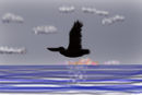 pelican