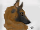 my-dog-mckenna