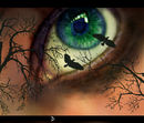 -green-eye- -green-eye-