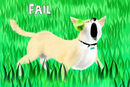 doggeh-fetch-fail