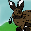 bunny-wabbit