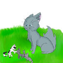requested-by-lunerfall