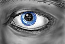 eye