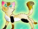 spottedstar spottedstar