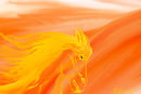 ghost-horse