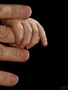 loving-hands loving-hands