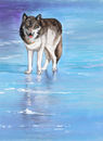 wolf