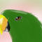 green-parrot by sara8903