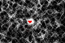 heart-of-magic