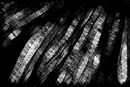 texture-untitled-1
