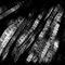 texture-untitled-1 by sadlave