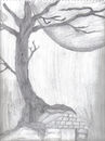 treehousefusionjpg