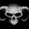 skull by needles