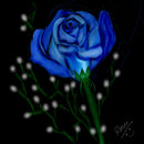 in-blue--2