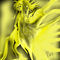 the-golden-beauty by rosebuddy