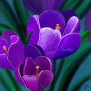 sign-of-spring