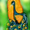 peacock by rosebuddy