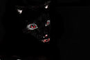 wolf-in-the-dark