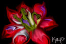 abstract-spring-flower