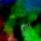 rainbow-mist by saski