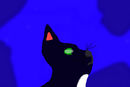 ravenpaw2