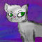 elderly-cat by sara890456