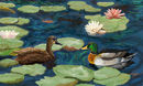 lilies-and-ducks