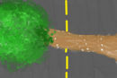 bye-bye-tree