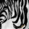 zebra by themersisters
