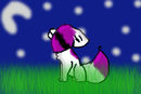 see-the-moon