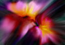 0619