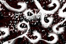 abstract-vines-swirls