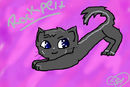 rockpelt