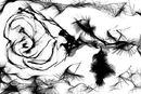 untitled-1