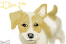 i-love-you